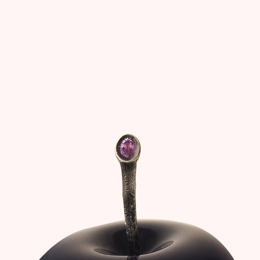 Dominus Amé -  Ametist & Siyah Elma