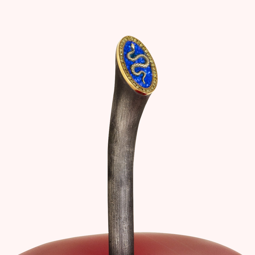 The Serpent’s Gift – Red Apple with Snake