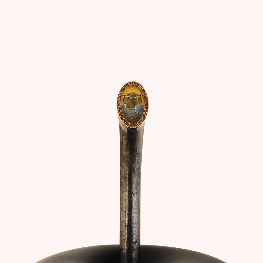 Gece Kahini - Baykuşlu Siyah Elma